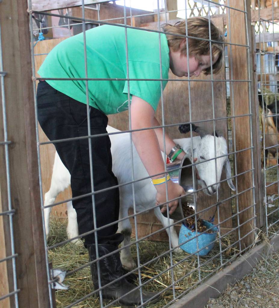 San Juan County Fair 2017 | Photos