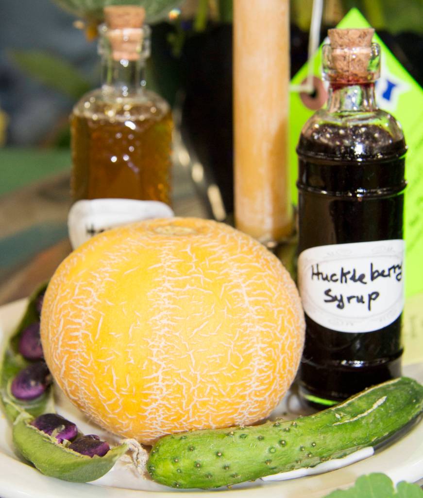 San Juan County Fair 2017 | Photos