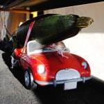 Staff photo/Tate Thomson