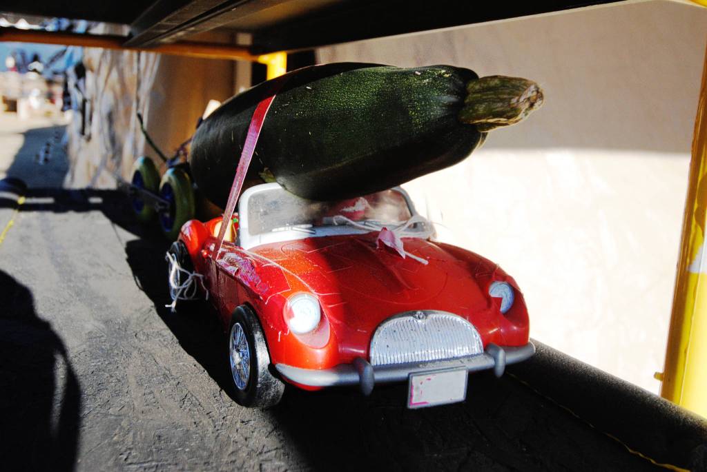 Staff photo/Tate Thomson