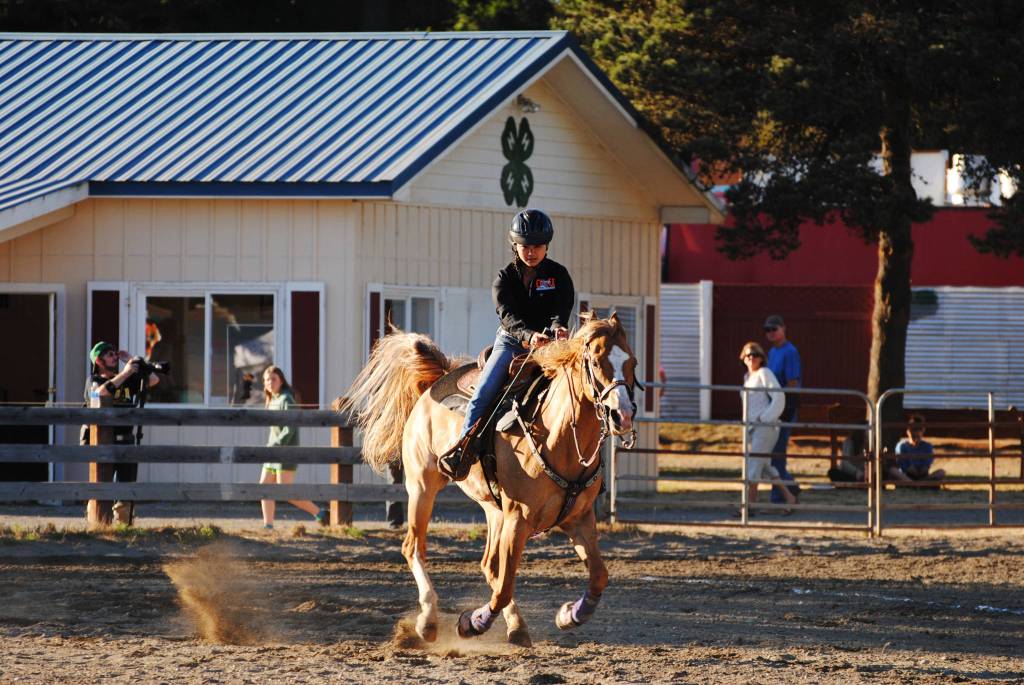 Staff photo/Tate Thomson