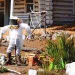 Staff photo/Tate Thomson