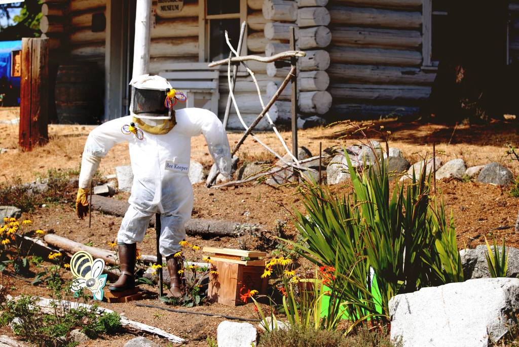 Staff photo/Tate Thomson