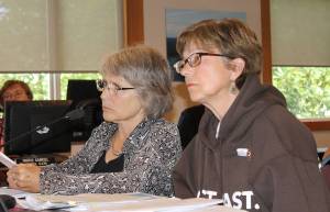 La iniciativa de inmigración pasa sin el voto de los ciudadanos | Spanish translation of immigration initiative article