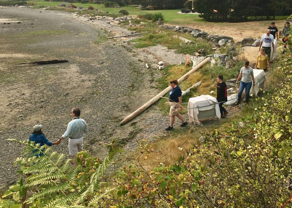Wolf Hollow releases rehabilitated harbor seals