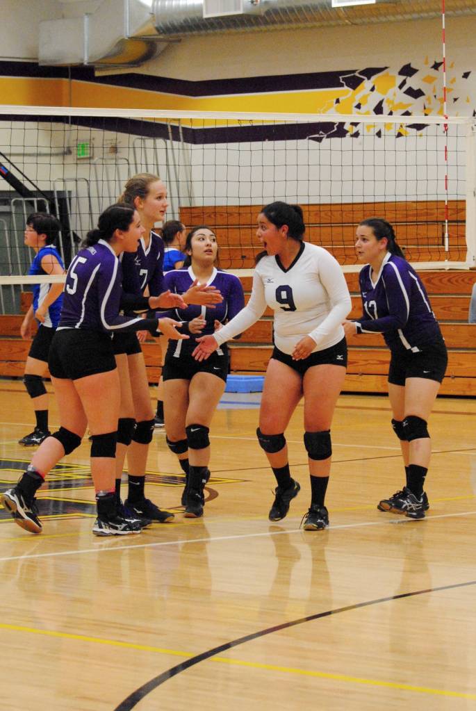Wolverines win against rival Vikings | Volleyball
