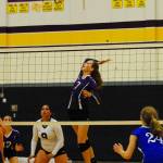 Wolverines win against rival Vikings | Volleyball