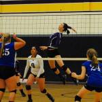 Wolverines win against rival Vikings | Volleyball