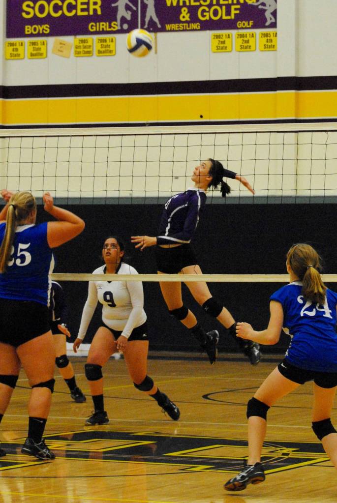 Wolverines win against rival Vikings | Volleyball