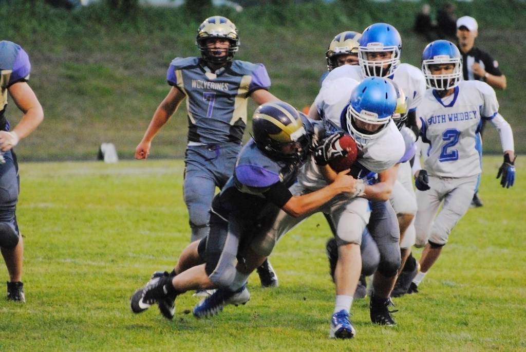 Wolverines face South Whidbey Falcons | Football
