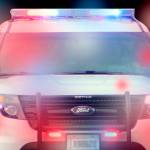 Port Townsend man charged with punching Orcas park ranger