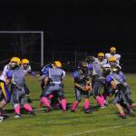 A battle of Wolverines and Lions