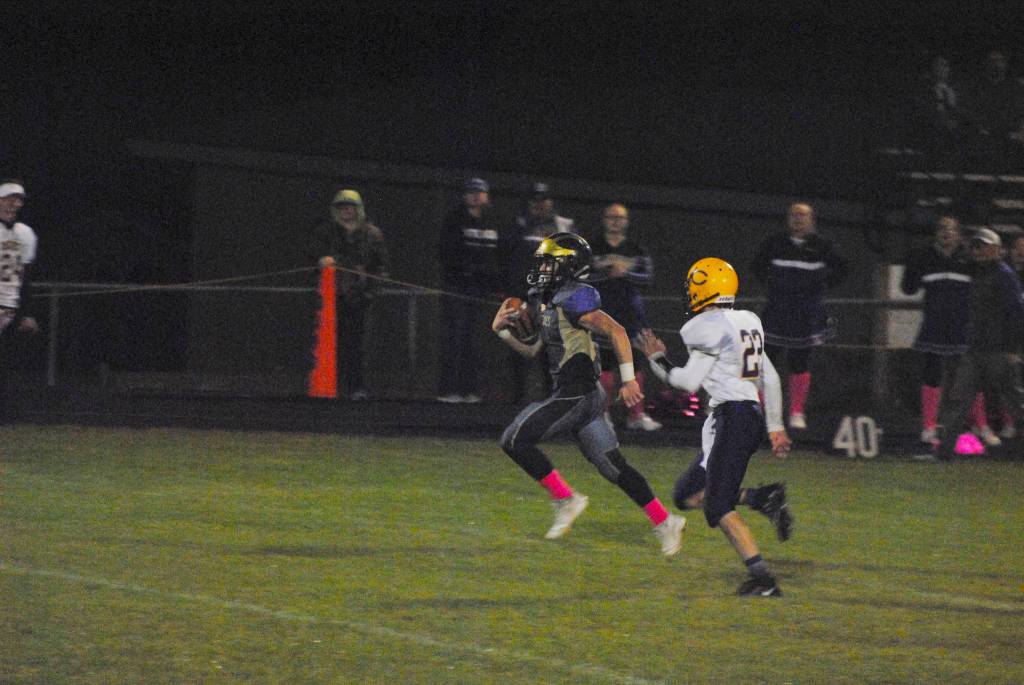 A battle of Wolverines and Lions