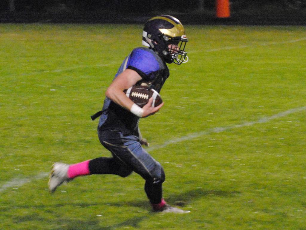 A battle of Wolverines and Lions