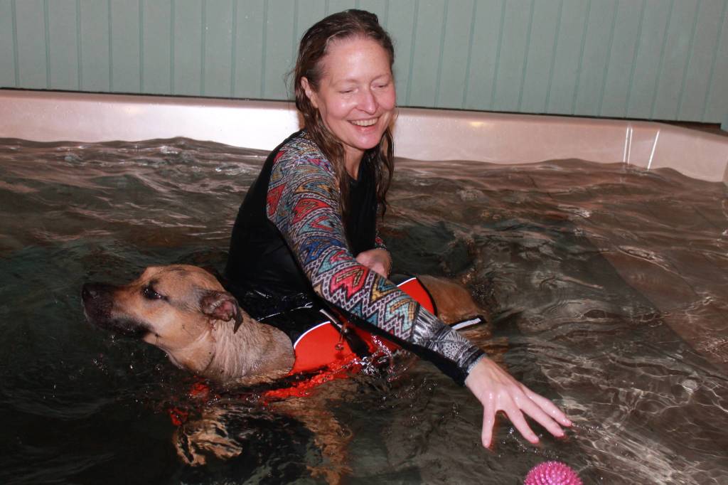 Staff photo/Heather Spaulding                                Terri Dowell and Addi at Skookum Dog Rehabilitation and Fitness.