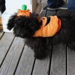 Halloween in Eatsound