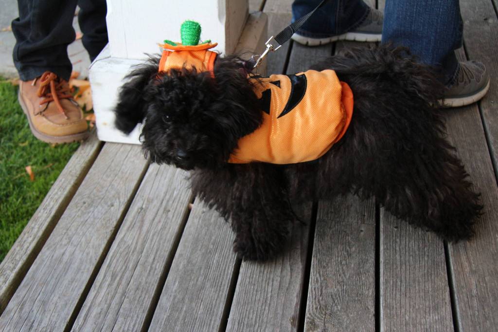 Halloween in Eatsound