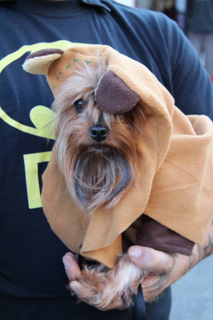 Halloween in Eatsound