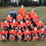 Contributed photo                                Above: 2017 second place pee-wee Tiger team