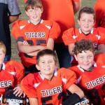 Youth Tigers go to playoffs