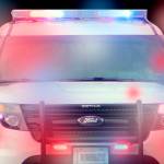 Four alleged business thefts