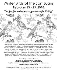 Whale Museum hosts workshop on local winter birds