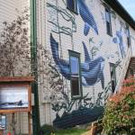 Train to be a naturalist with The Whale Museum