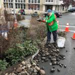 Contributed photo/Matt Pranger                                Alison Longely works on the rain garden.