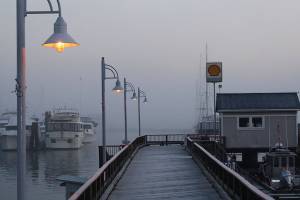 Staff photo/Hayley Day