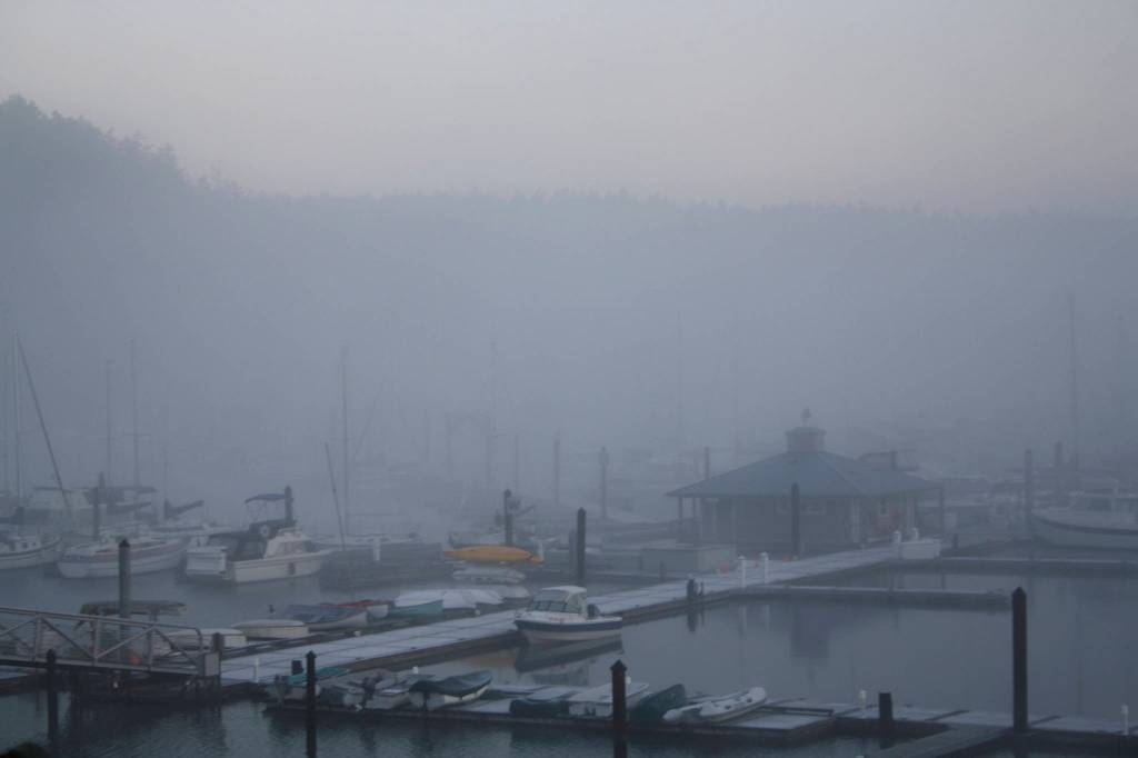 Staff photo/Hayley Day