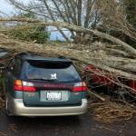 Staff photo/Hayley Day