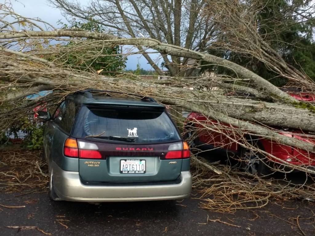 Staff photo/Hayley Day