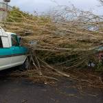 Staff photo/Hayley Day