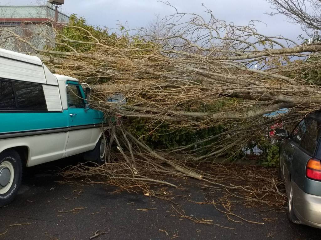 Staff photo/Hayley Day