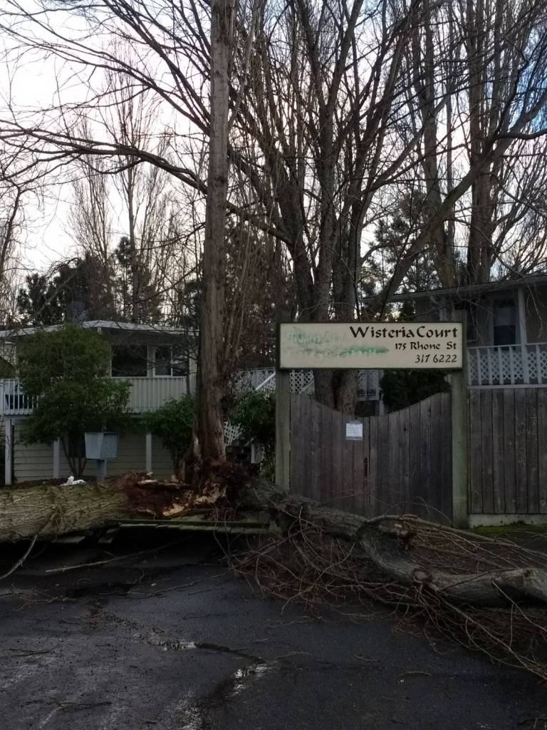 Staff photo/Hayley Day