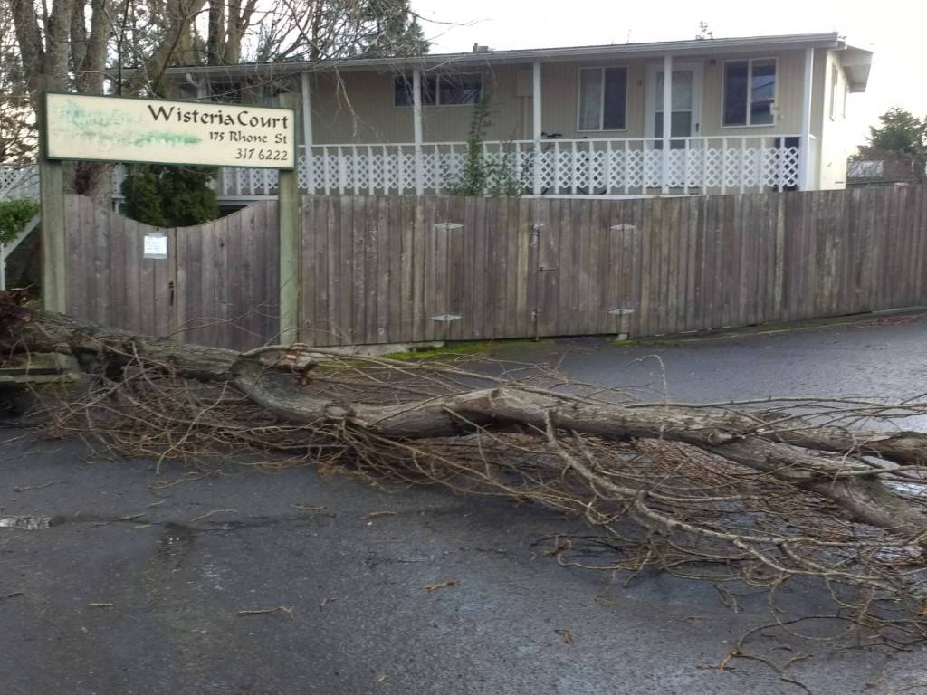 Staff photo/Hayley Day