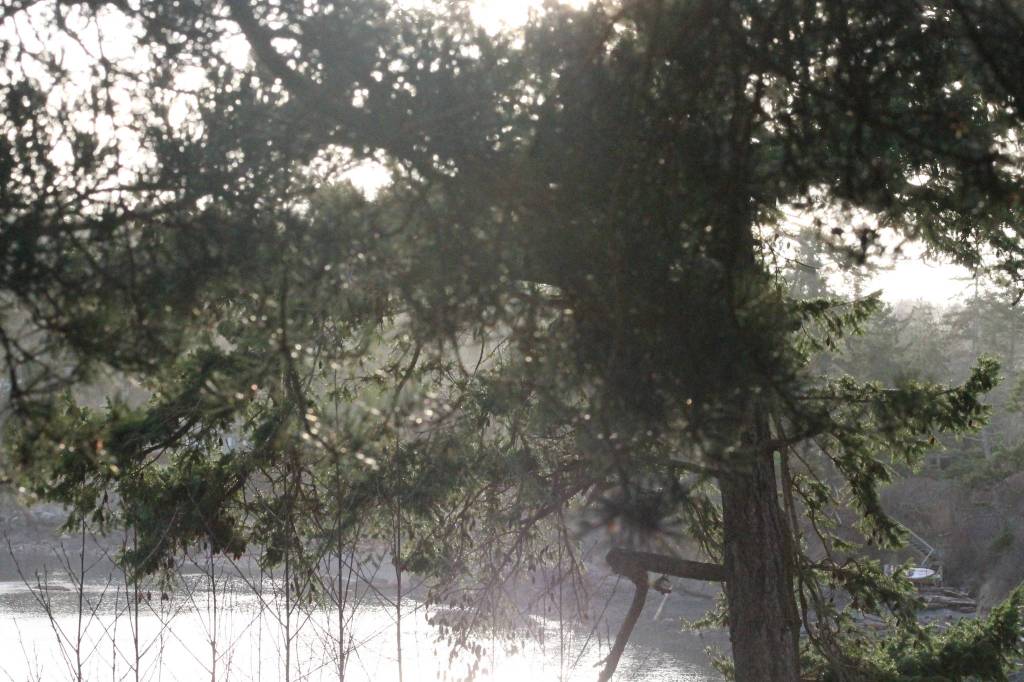 Staff photo/Heather Spaulding