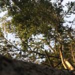 Staff photo/Heather Spaulding