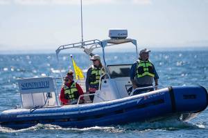 NOAA says vessel rules are a win for orcas and whale watch boaters