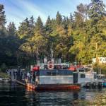 Contributed photo/Mayas Legacy Whale Watching