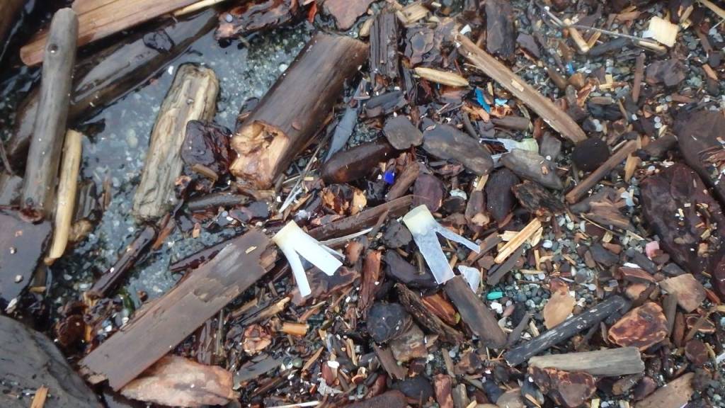 Contributed photo/Sharon Massey                                The debris found at beaches.