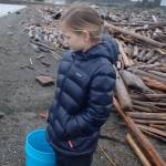 Staff photo/Hayley Day                                Spring Sprinter International School students clean marine debris from beaches.