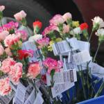 Staff photo/Heather Spaulding