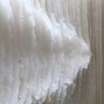 Contributed photo/San Juan Islands Museum of Art                                Moments by Kandis Susol