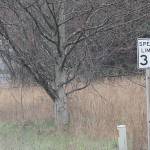 San Juan County Council changes speed limits on San Juan, Orcas and Lopez