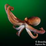 Protecting the environment one child at a time | New science book for fifth- and sixth-grade students