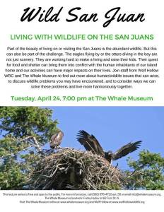 Learn how to live in harmony with wildlife at The Whale Museum