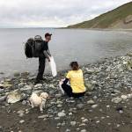 Contributed photo/Great Islands Clean-Up                                Volunteers pick up litter on San Juan Islands South Beach during a previous Great Islands Clean-Up.