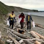 Contributed photo/Great Islands Clean-Up                                Volunteers pick up litter on San Juan Islands South Beach during a previous Great Islands Clean-Up.