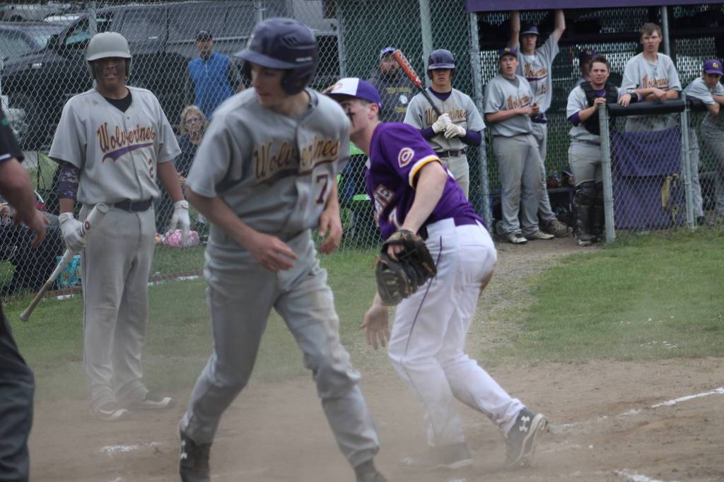 Wolverines baseball ends successful season | Update